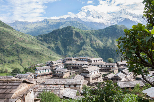 POKHARA TO GHANDRUK VILLAGE- DRIVE FROM POKHARA TO GHANDRUK VILLAGE,