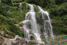 Darjeeling to Bagdogra Airport / NJP Rly Station - Transfer and Departure